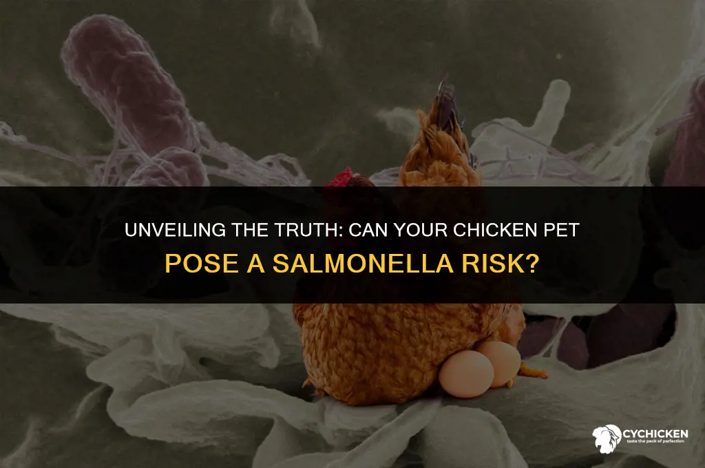 how easy is it to get salmonella from chicken pet