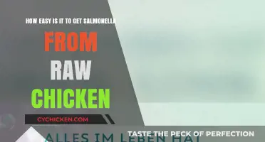 Risks Revealed: Can You Safely Handle Raw Chicken?