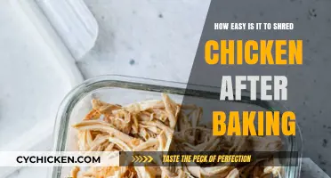 Shredded Chicken: Quick, Easy, and Versatile