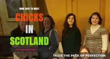 Meeting Chicks in Scotland: Tips for Easy Connections and Fun