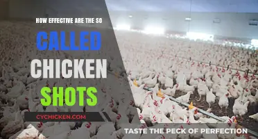 Chicken Shots: Uncovering the Truth Behind Their Effectiveness