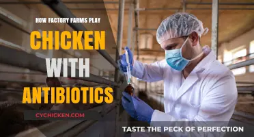 Factory Farms' Antibiotic Overuse: Risky Chicken Game Explained