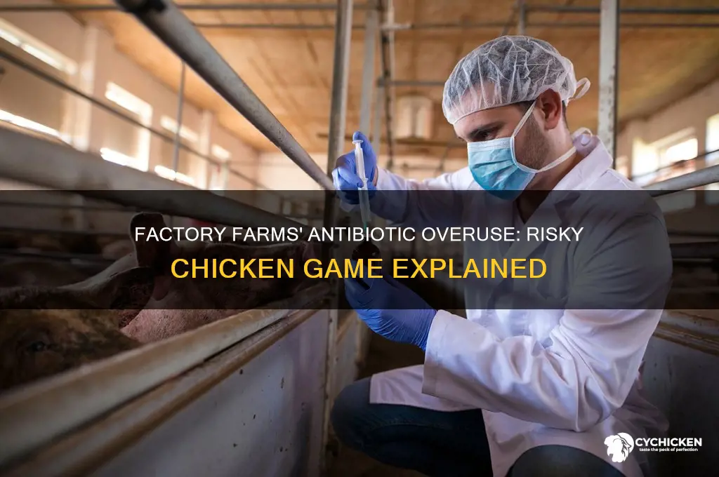 how factory farms play chicken with antibiotics