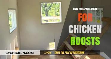 Optimal Spacing for Chicken Roosts: A Guide to Comfort and Health