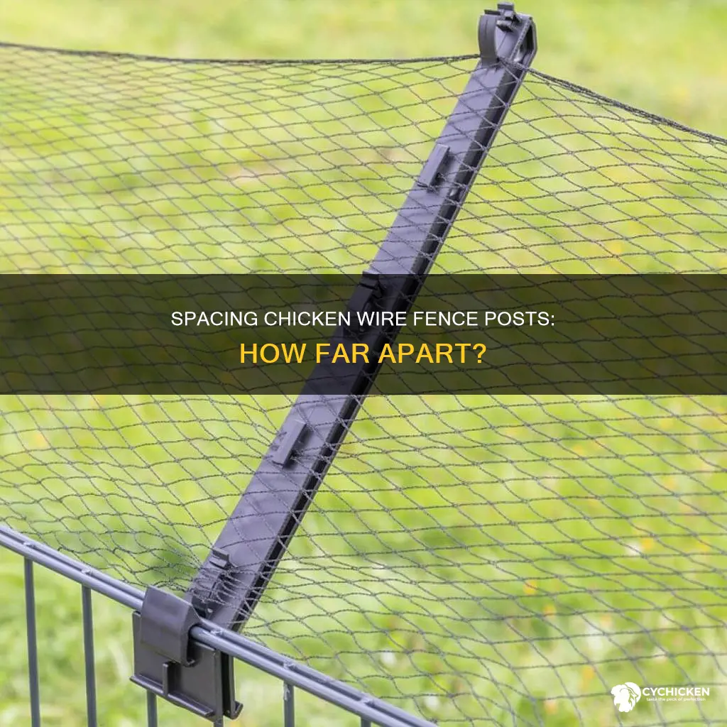 how far apart are fencing posts for chicken wire