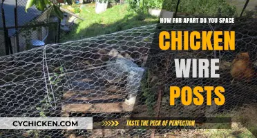Spacing Chicken Wire Posts: How Far Apart?