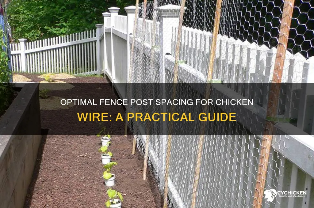 how far apart fence posts for chicken wire