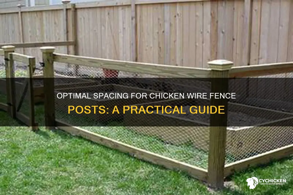 how far apart posts chicken wire fence