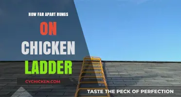 Optimal Spacing for Chicken Ladder Rungs: A Practical Guide