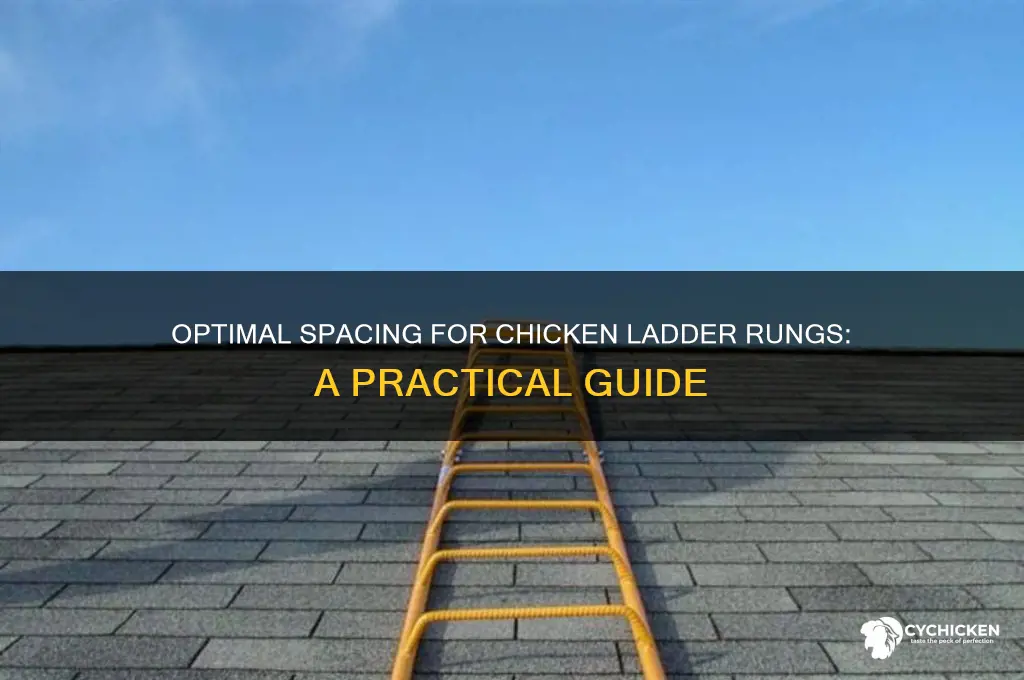 how far apart rungs on chicken ladder