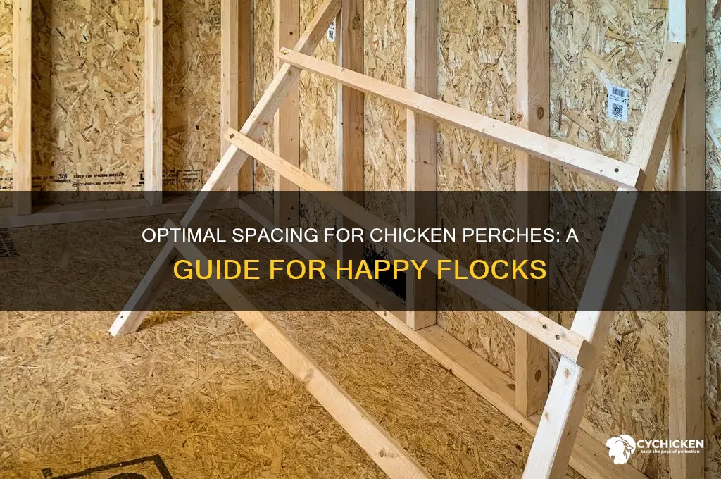 how far apart should chicken perches be