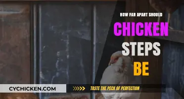 Optimal Chicken Coop Ladder Spacing: Ensuring Safe and Easy Access