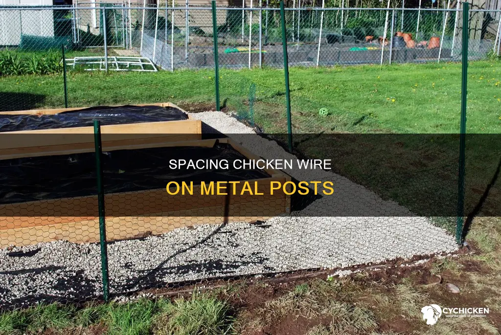 how far apart to attach chicken wire to metal post