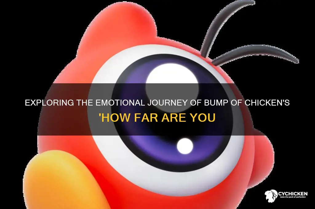 how far are you bump of chicken