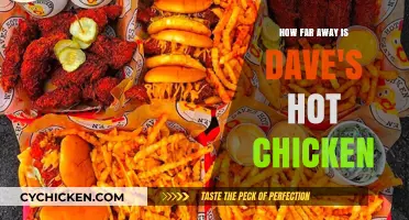Discovering the Closest Dave's Hot Chicken Location Near You