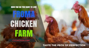 Stay Safe: How Far Should You Live from a Chicken Farm?