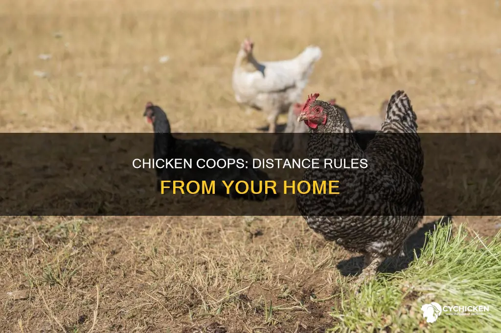 how far does chicken house have to be from residence