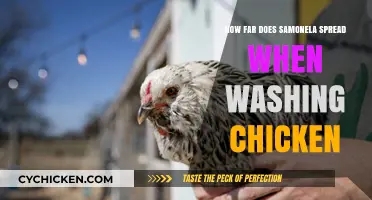 Salmonella Spread Risks: Washing Chicken and Cross-Contamination Concerns