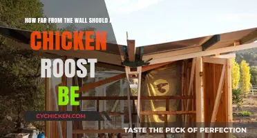 Ideal Distance for Chicken Roosts from Wall