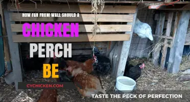 Ideal Chicken Perch Distance from Wall