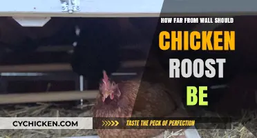 Optimal Chicken Roost Placement: Distance from Wall for Comfort and Safety