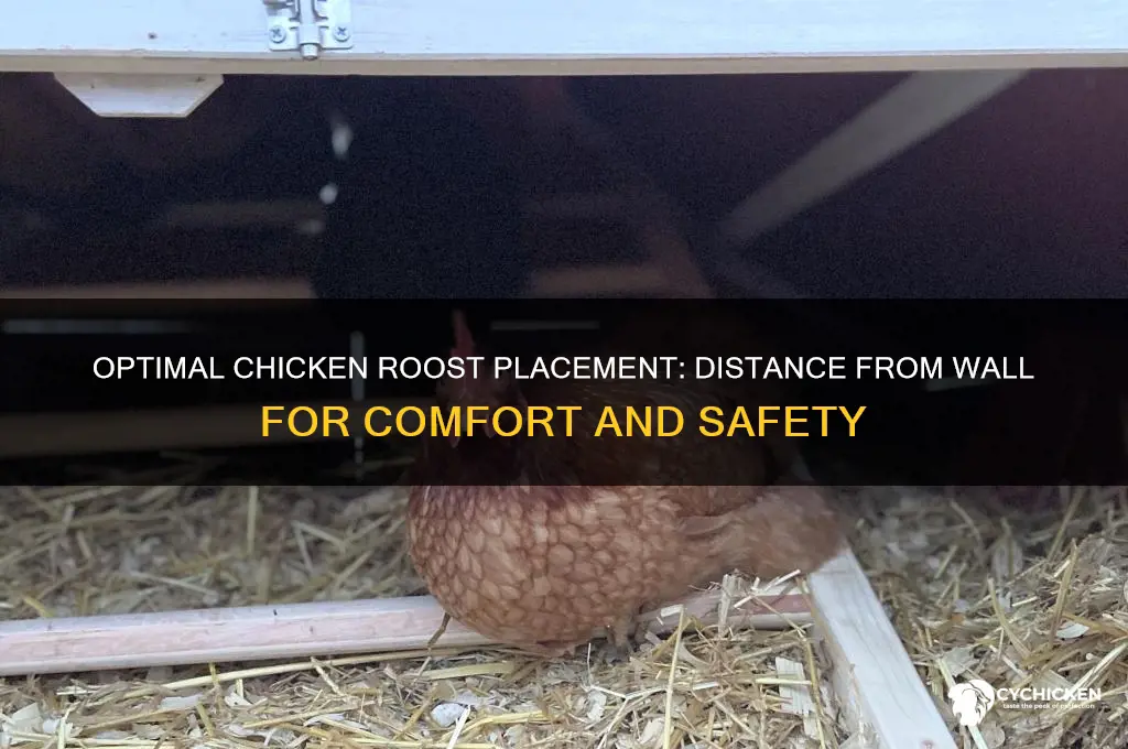 how far from wall should chicken roost be