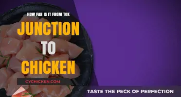 Exploring the Distance: Tok Junction to Chicken