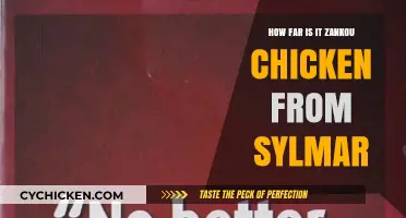 Zankou Chicken Sylmar: Distance, Directions, and Deliciousness Explored