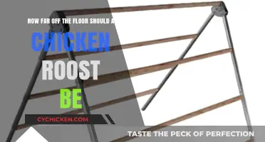 Ideal Height for Chicken Roosts