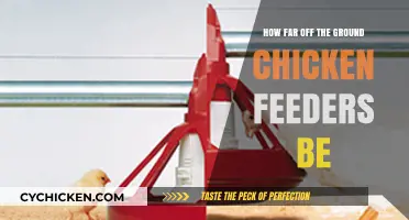 Optimal Height for Chicken Feeders: A Practical Guide