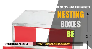 Chicken Nesting Box Height: How High Off the Ground?