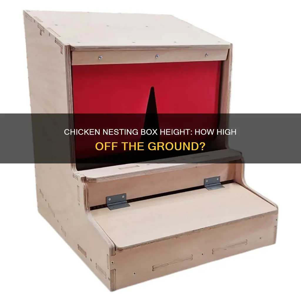 how far off the ground should chicken nesting boxes be