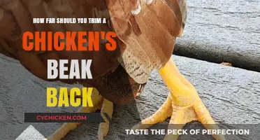 Trimming Chicken Beaks: How Short is Too Short?