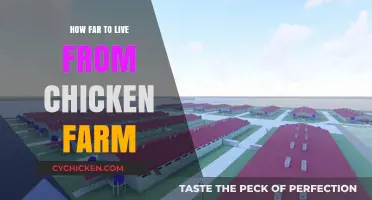 Ideal Distance: How Far Should You Live from a Chicken Farm?