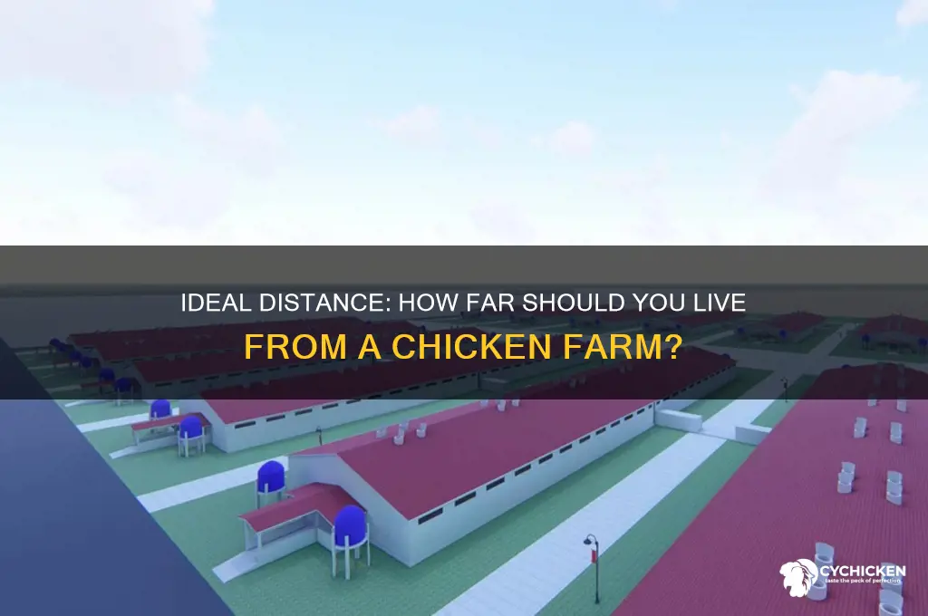 how far to live from chicken farm