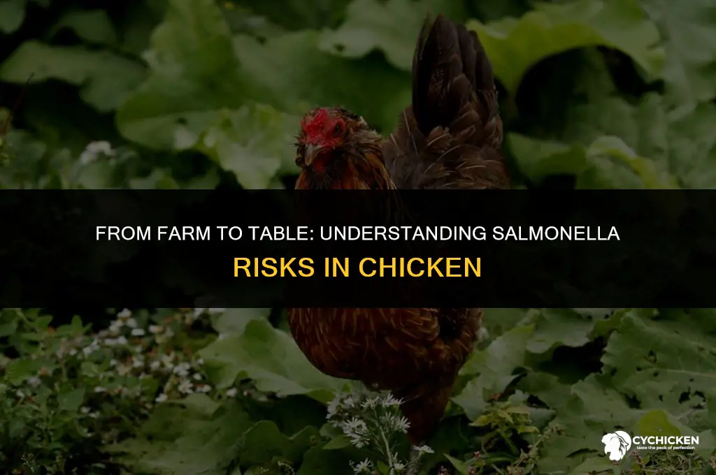 how fast can chicken get salmonella
