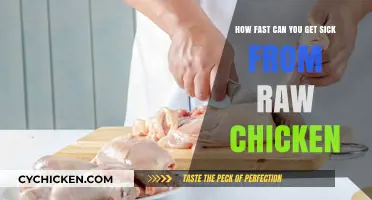 From Farm to Table: The Raw Truth About Chicken Safety
