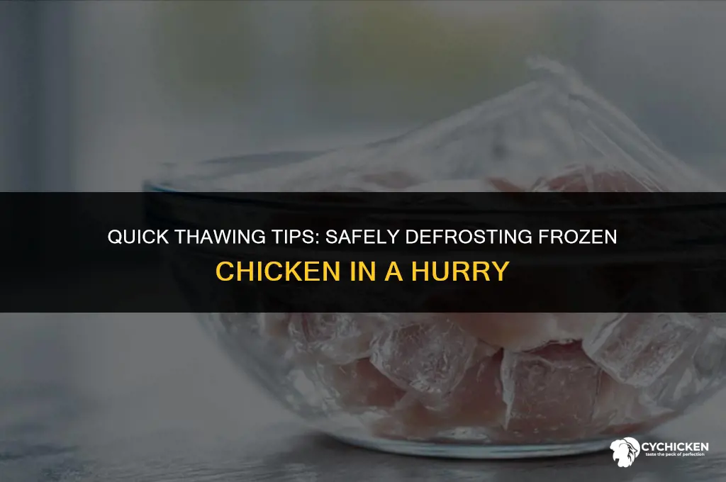 how fast can you thaw frozen chicken