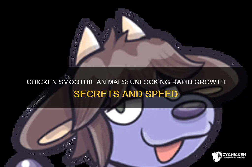 how fast do animals in chicken smoothie grow
