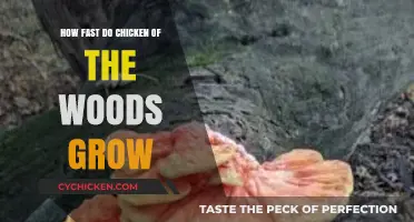 Chicken of the Woods Growth Rate: How Quickly Do They Spread?