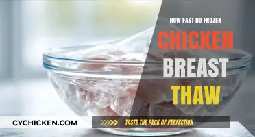 Quick Thawing Tips: Frozen Chicken Breasts Ready in No Time!