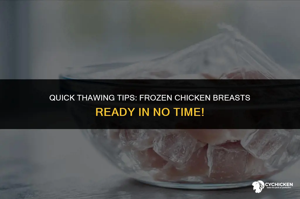 how fast do frozen chicken breast thaw