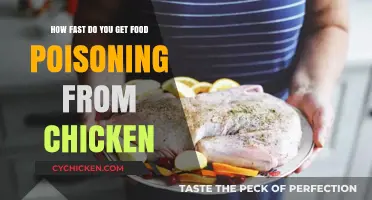 From Plate to Pain: The Timeline of Chicken Food Poisoning