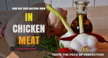 Rapid Bacteria Growth in Chicken: Risks, Prevention, and Safe Handling