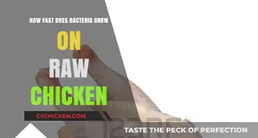 Rapid Bacteria Growth on Raw Chicken: Risks and Safe Handling Tips