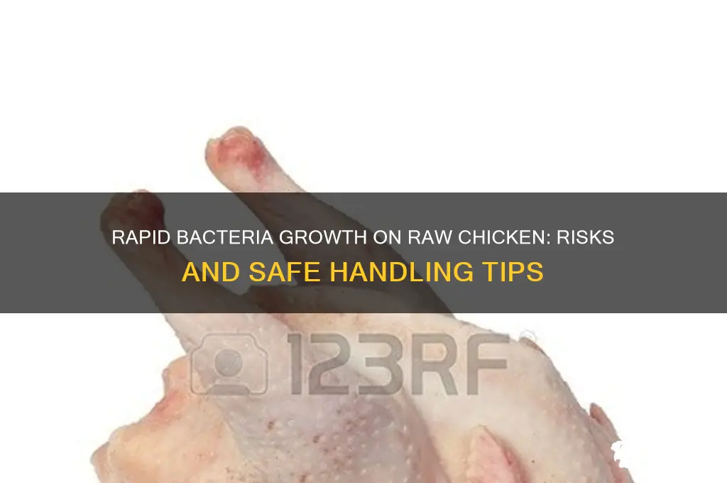 how fast does bacteria grow on raw chicken