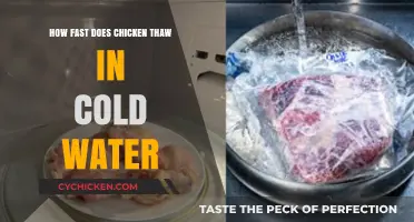 Quick Thawing Tips: How Fast Does Chicken Defrost in Cold Water?