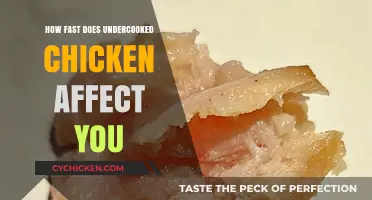 Undercooked Chicken Risks: How Quickly Symptoms Appear After Consumption
