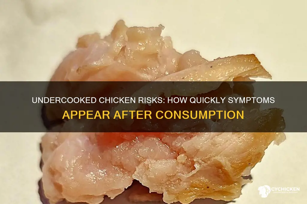 how fast does undercooked chicken affect you
