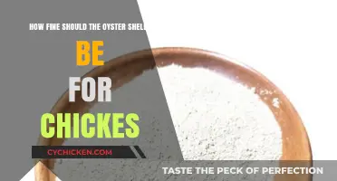 Oyster Shell Grind Size for Chicken Health
